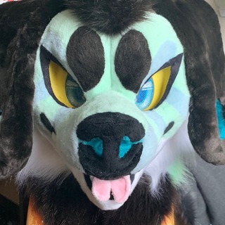 Telegram profile photo for Bad Dog