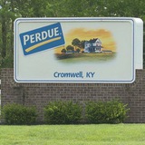 Telegram profile photo for Perdue Farms
