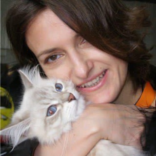 Telegram profile photo for Питомник кошек «Сибирская Империя»