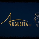 Telegram profile photo for Augustea Stp