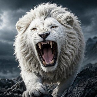 Telegram profile photo for The white lion