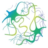 Telegram profile photo for Синапс центр
