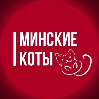 Telegram profile photo for Минские кoты