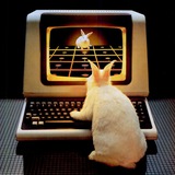 Telegram profile photo for Last Invention