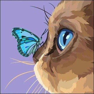 Telegram profile photo for - الهتان 🦋.