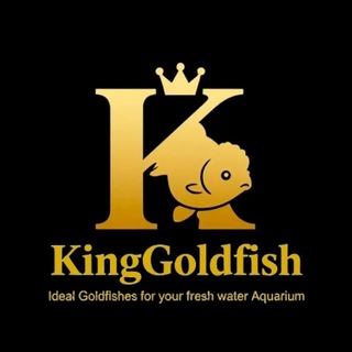 Telegram profile photo for 👑 King goldfish 👑