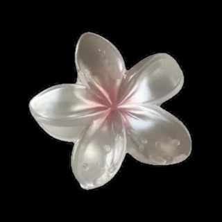 Telegram profile photo for 𝖅𝖊𝖗𝖞𝖓𝖙𝖍𝖎𝖆