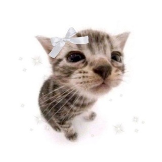 Telegram profile photo for 𝓻𝓲𝓷𝓸𝓬𝓱𝓴𝓪