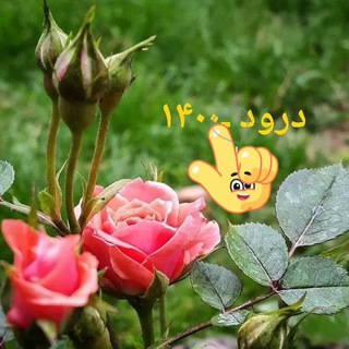 Telegram profile photo for درود ۱۴۰۰