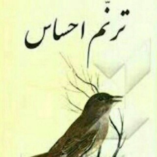 Telegram profile photo for ترنم احساس🌺🍃