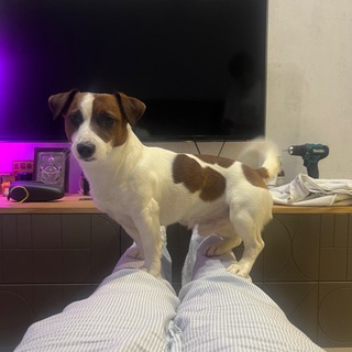 Telegram profile photo for Даня) Путь к миллиону