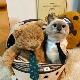 Telegram profile photo for whynot