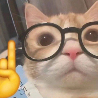 Telegram profile photo for Котик блокнотик