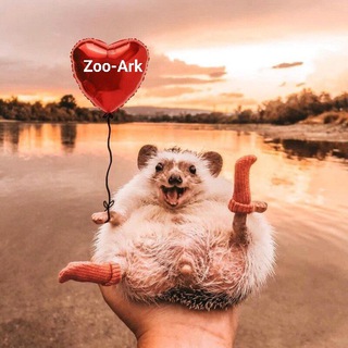 Telegram profile photo for Zoo-Ark | мир пушистиков | домашние и дикие животные