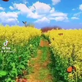Telegram profile photo for конюшня ваилда