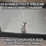 Telegram profile photo for архив