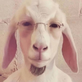 Telegram profile photo for Возможен ли выход.