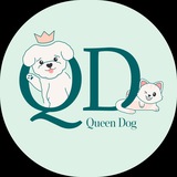 Telegram profile photo for QueenDog