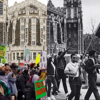 Telegram profile photo for CUNY Gaza Solidarity Encampment