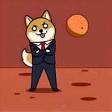 Telegram profile photo for neilonsolana