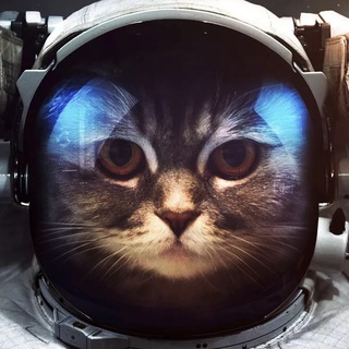 Telegram profile photo for Key Collector NEWS Chat