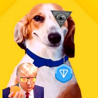 Telegram profile photo for GoodBoy