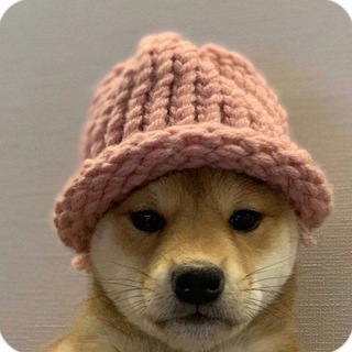 Telegram profile photo for Вестник Маймуна