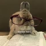 Telegram profile photo for шаблоn