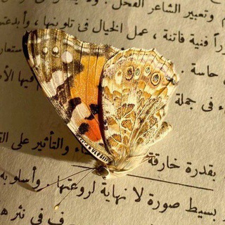 Telegram profile photo for Light ، نُـــ🎀ـور