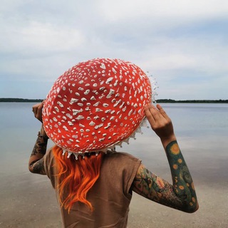 Telegram profile photo for Микродозинг правды🍄🌿