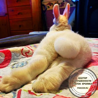 Telegram profile photo for Схождение пазузу к программному миру
