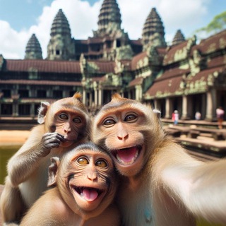 Telegram profile photo for 🐒🐒🐒
