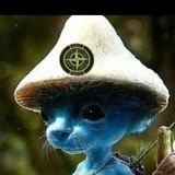 Telegram profile photo for Я строитель 👷♂