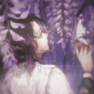 Telegram profile photo for ⌞ 𝗶𝗻𝗳𝗼 𝗰𝗮𝗹𝗺𝗻𝗲𝘀𝘀 ⌝
