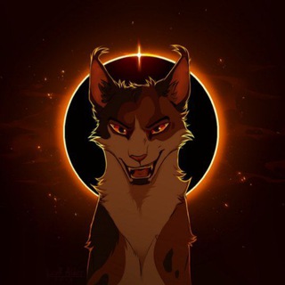Telegram profile photo for OldcatMarket