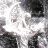 Telegram profile photo for 美の創造者