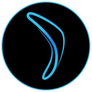 Telegram profile photo for Boomerang Capital