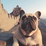 Telegram profile photo for 阿明载去烧合集