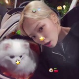 Telegram profile photo for 🔒𓏸 𓂂 sweet puppy . 🐶 🍒
