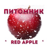 Telegram profile photo for 🍎| Питомник «RED APPLE» | Pony Town | «Яблочко» |🍎