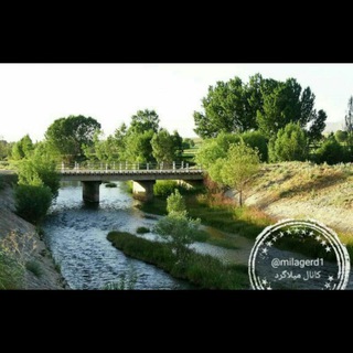 Telegram profile photo for میلاگرد