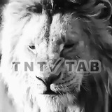 Telegram profile photo for ⇡⇨TNT♕TAB.⇦⇡