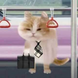 Telegram profile photo for PMM