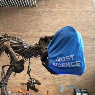 Telegram profile photo for Mask / PPE - Archive