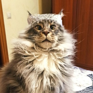 Telegram profile photo for Адекватный географ