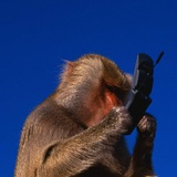 Telegram profile photo for serakurra