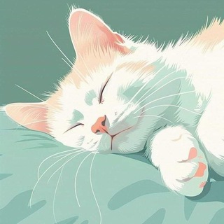 Telegram profile photo for Котяра