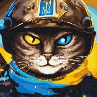 Telegram profile photo for Донецький Кіт
