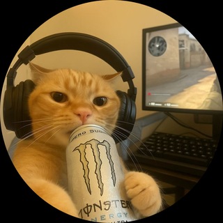 Telegram group profile photo for вз рефы