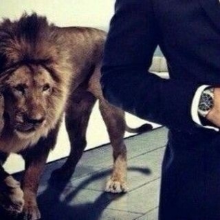 Telegram profile photo for خراب البيوت